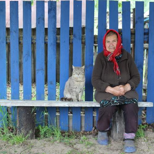 Photo #8644041