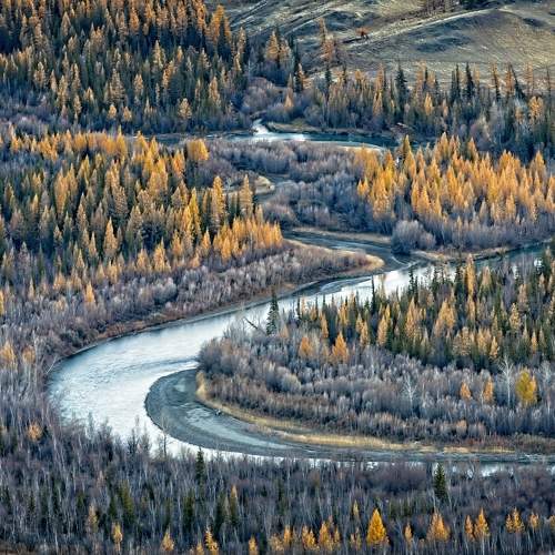 Фотография #8644052