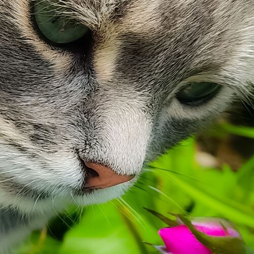 Photo #8644093