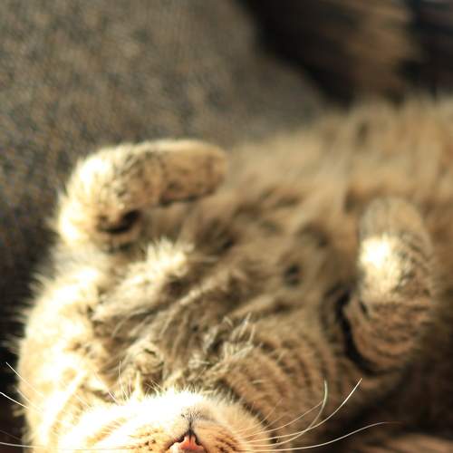 Photo #8644352