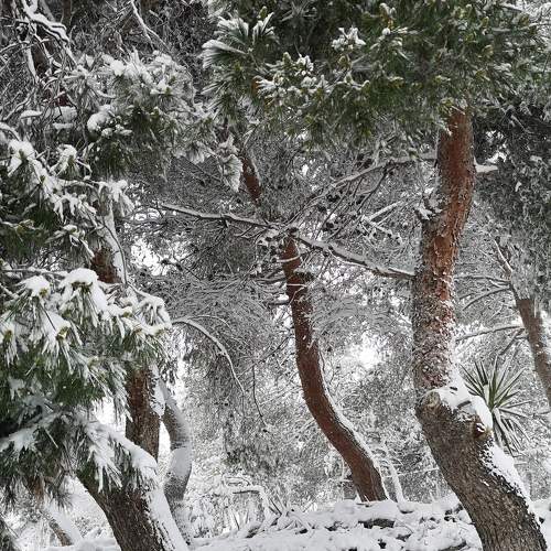 Photo #8645108