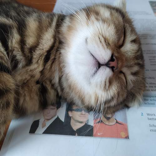 Photo #8645683