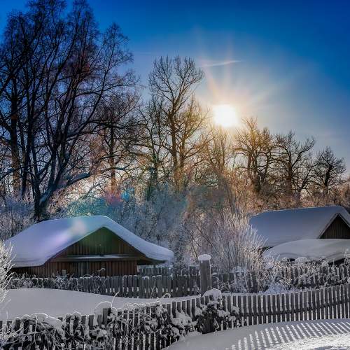 Photo #8645782