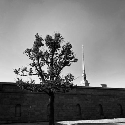 Photo #8646073