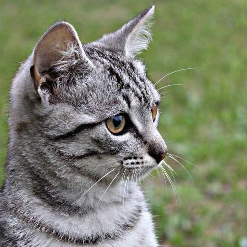 Photo #8646101