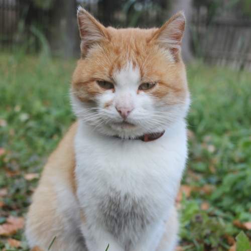 Photo #8646118