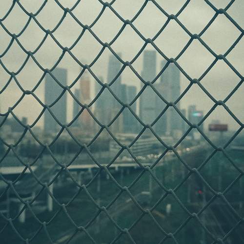 Photo #8646711