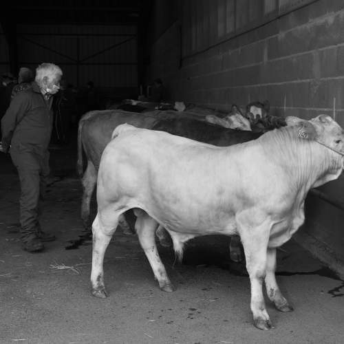 Photo #8646803
