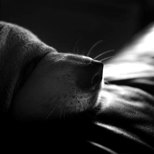 Пахнет весной, но это обман.