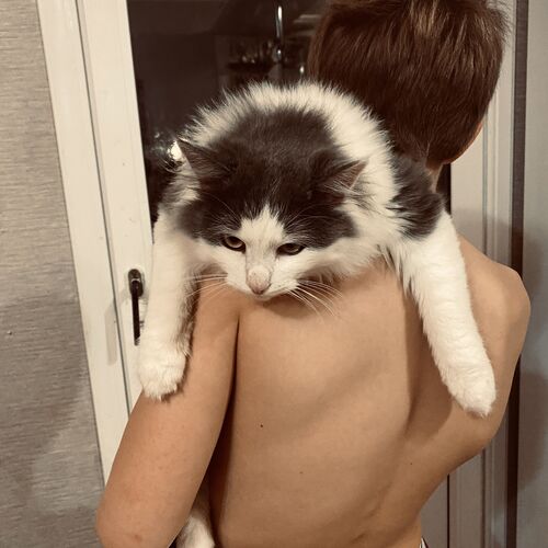 Photo #8647519