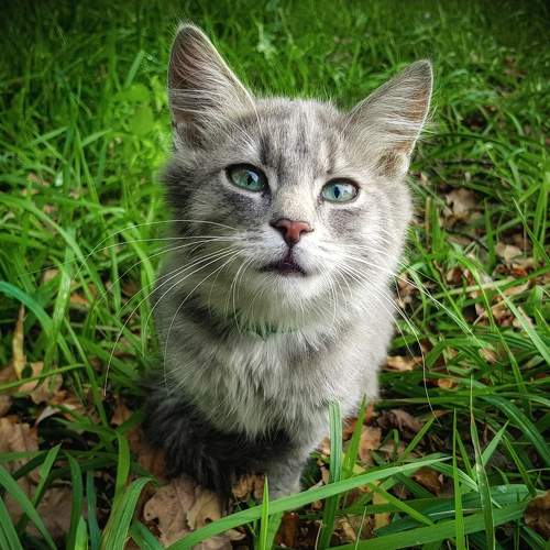 Photo #8647553