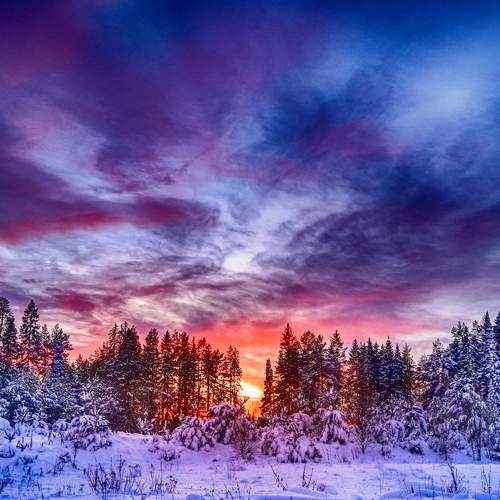 Photo #8647567