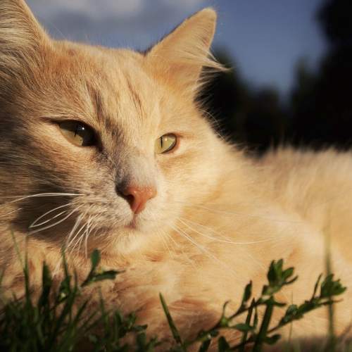 Photo #8647647