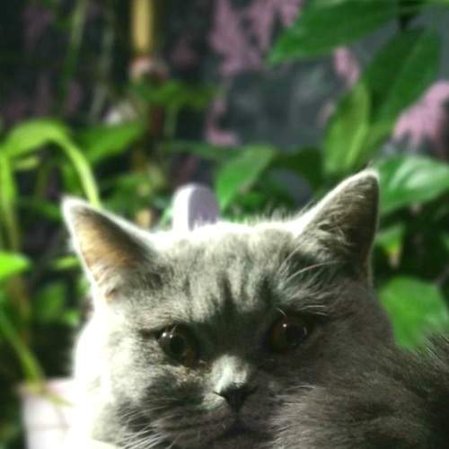 Photo #8647725