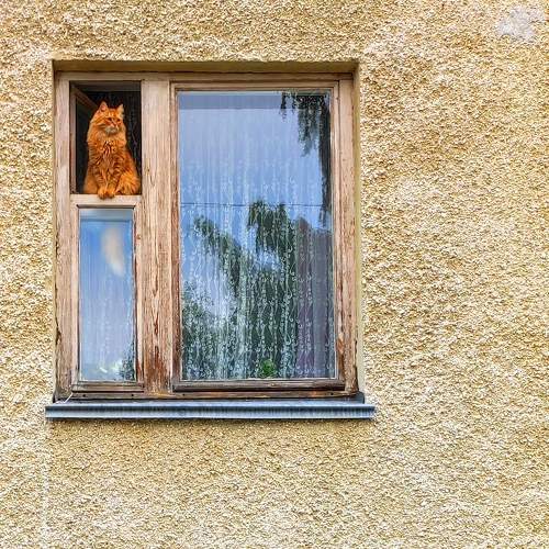 Photo #8647951