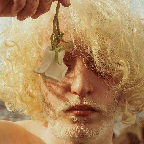 Photo #8648210