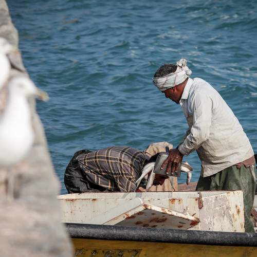 Photo #8649162