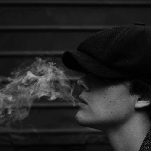Photo #8649198