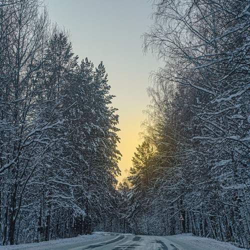Photo #8649535