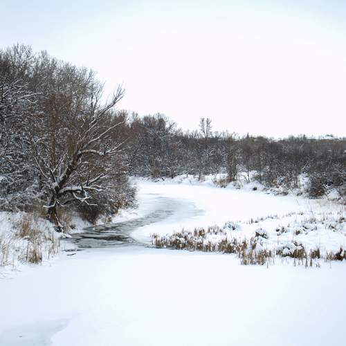 Photo #8649625
