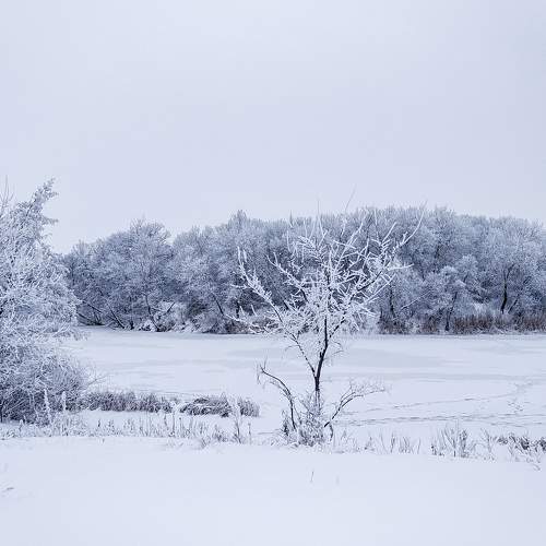 Photo #8649634