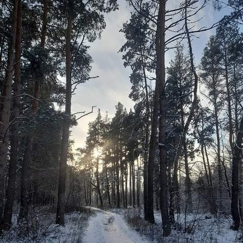 Photo #8649764