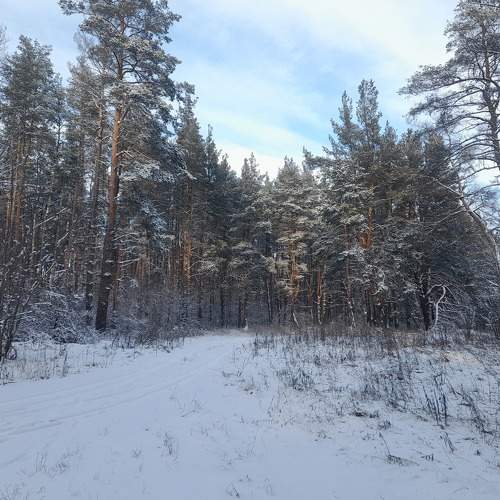 Photo #8649765