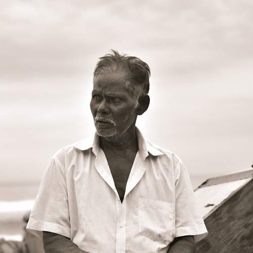 Photo #8649816