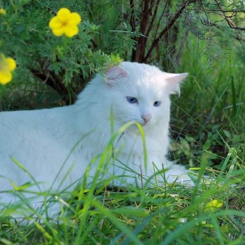 Photo #8650403