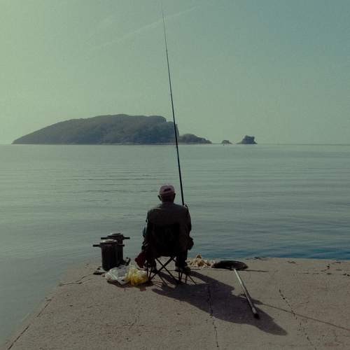 Photo #8651238