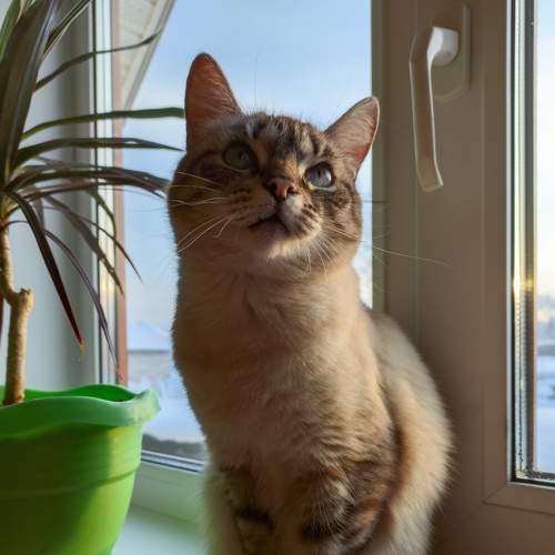 Photo #8651452