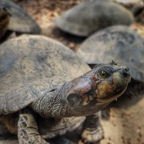 Photo #8651573
