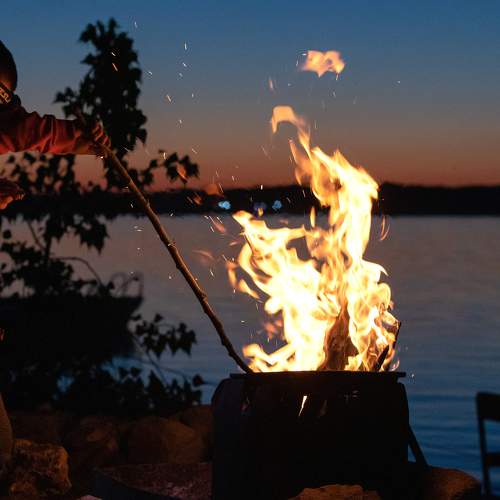 Photo #8651871