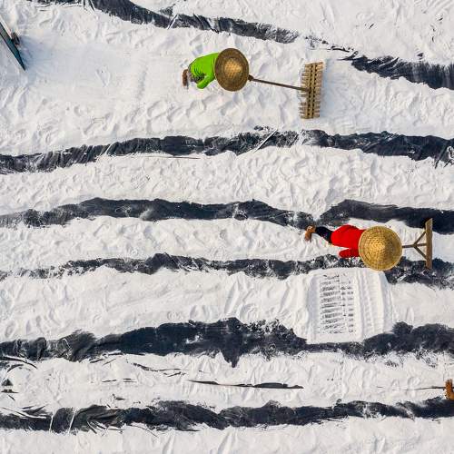 Salt Workers
