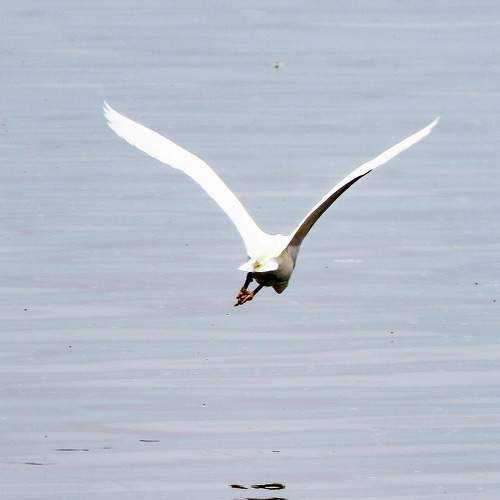 Photo #8652747