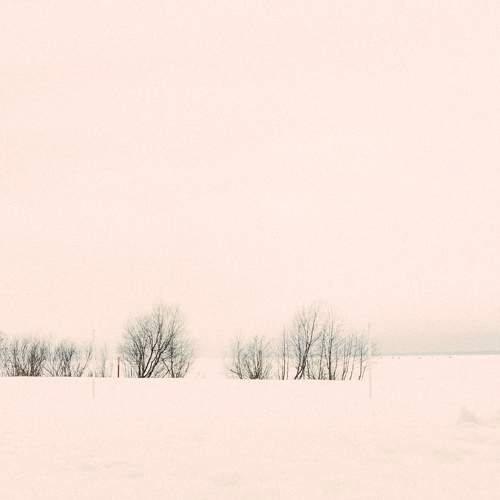 Photo #8652841