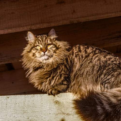 Photo #8652997