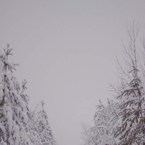 Photo #8653313