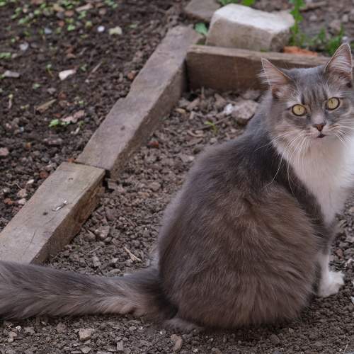 Photo #8653391