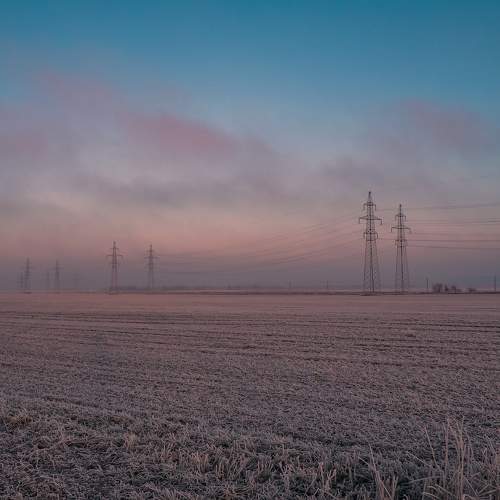 Photo #8653684