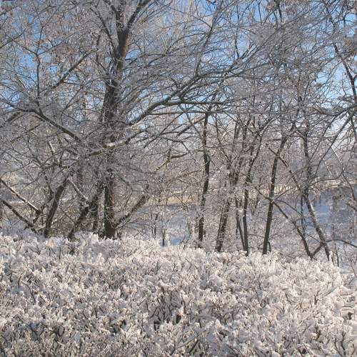 Photo #8653845