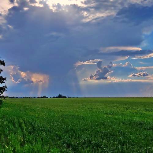 Photo #8653976