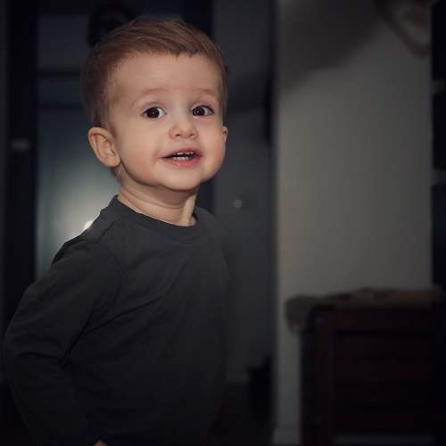 Photo #8654142