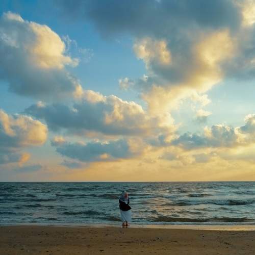 Photo #8654543
