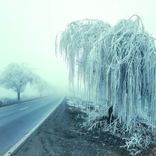 Photo #8654581