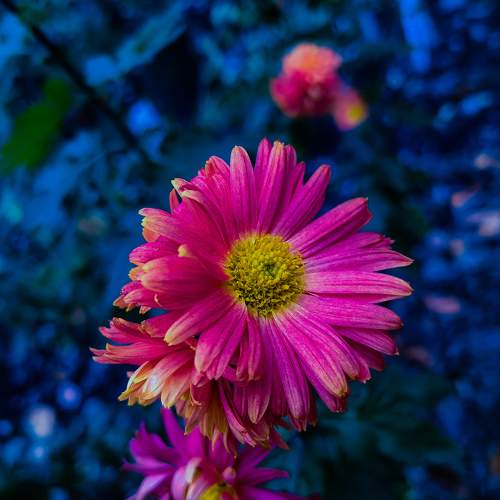 Photo #8654834