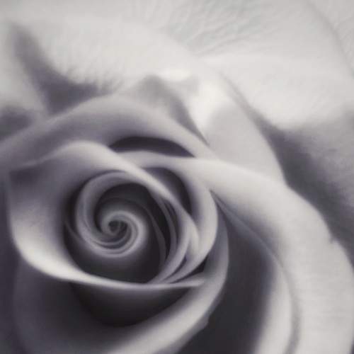 Photo #8654905