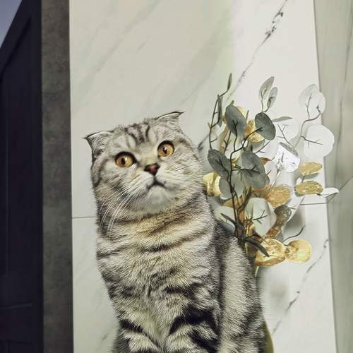 Photo #8655116