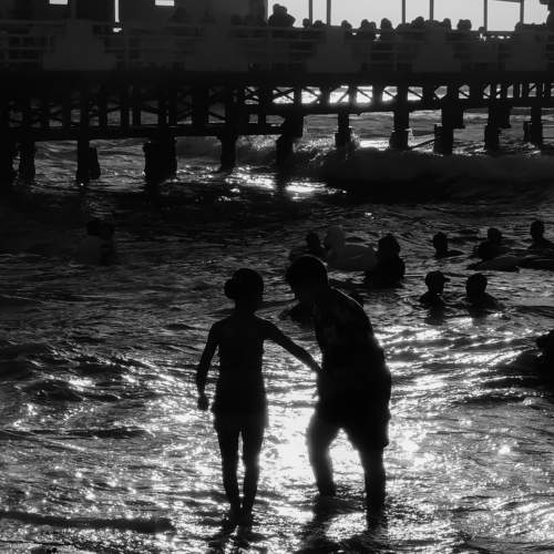 Photo #8655393