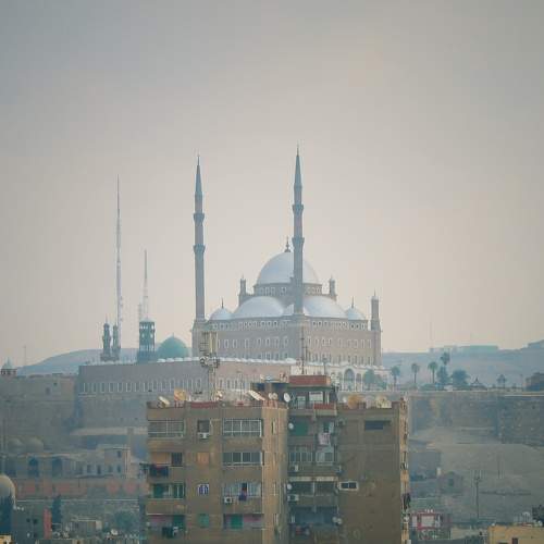 Photo #8655469